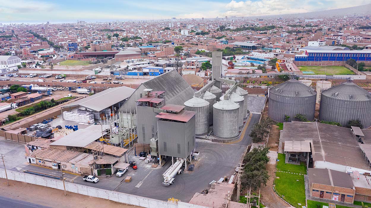 MEJOR POLLO DEL NORTE